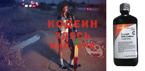 хмурый Пересвет