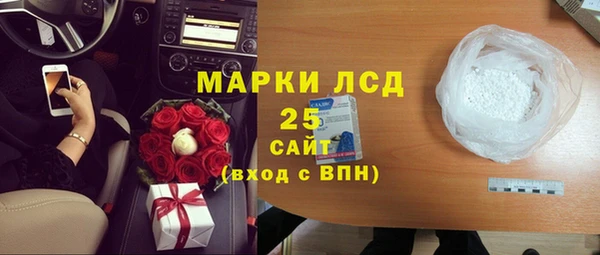 хмурый Пересвет