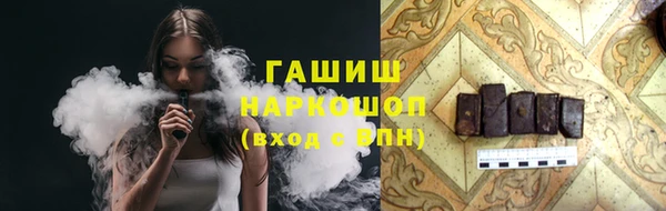 хмурый Пересвет