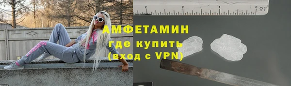 хмурый Пересвет
