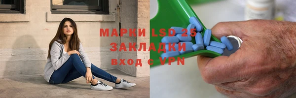 хмурый Пересвет
