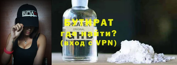 хмурый Пересвет