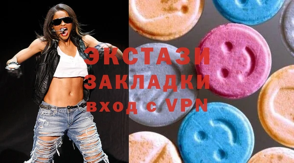 хмурый Пересвет