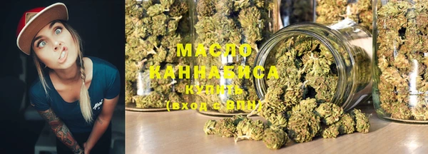 хмурый Пересвет