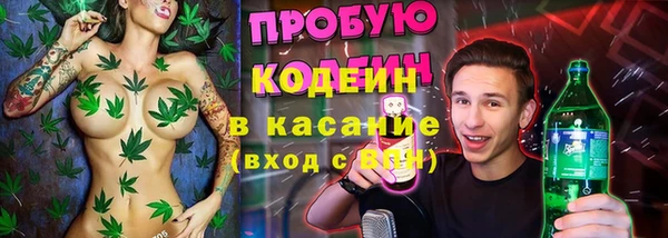 хмурый Пересвет