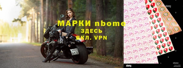 хмурый Пересвет
